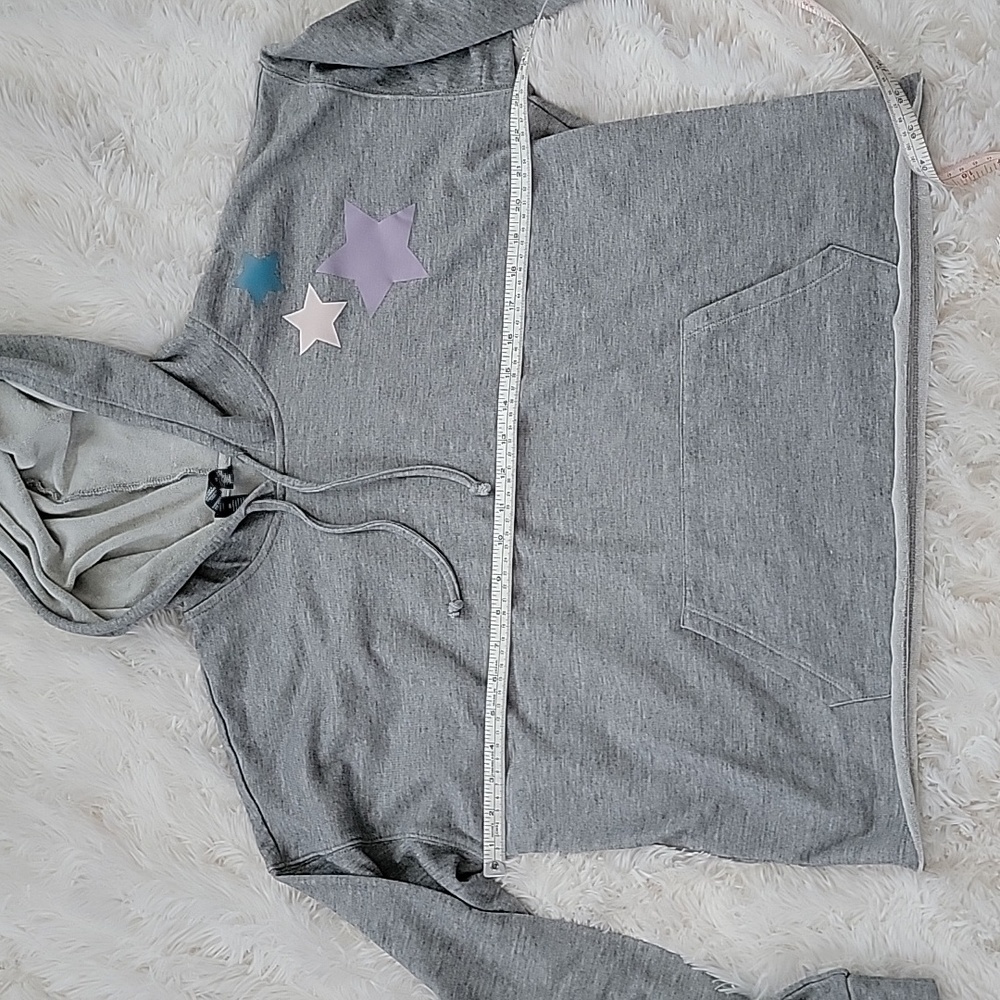 Wildfox Sweatshirt 🩶